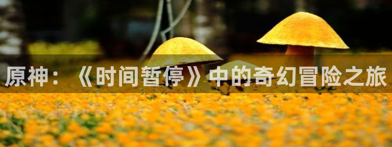 火狼动漫官网pro：原神：《时间暂停》中的奇幻冒险之旅